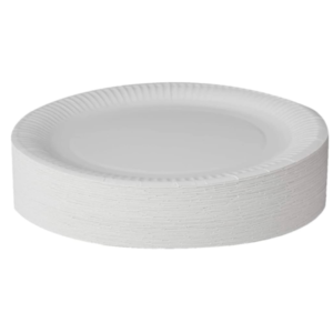 PAPER PLATES 9"