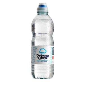 PRINCESS GATE SPRING WATER SPORTS