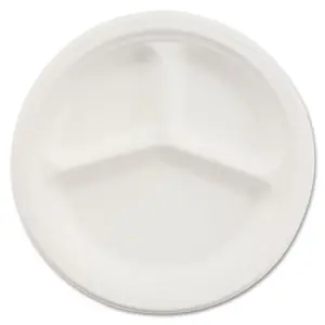 DELIGHT 10" -3 COMP PLASTIC PLATES 6PK