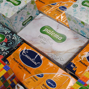 ESS POCKET SIZED SOFTNESS TISSUES 3PLY