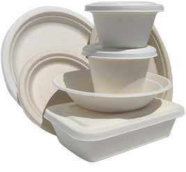 10” 3 COMP BAGASSE PLATES 8 PACK