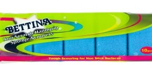 BETTINA 10PC X W60 HEAVY DUTY SCOURERS