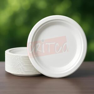 BAGASSE PLATES 10"